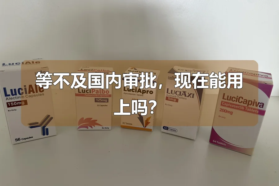 等不及国内审批,现在能用上吗?