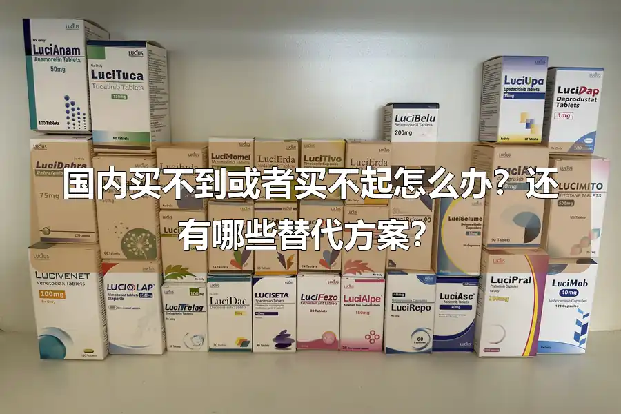 国内买不到或者买不起怎么办?还有哪些替代方案?