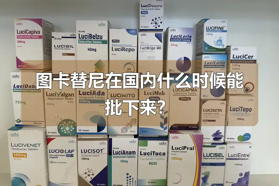 图卡替尼在国内什么时候能批下来?